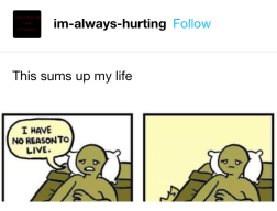 Screen Shot 2019-05-25 at 8.55.29 pm.png